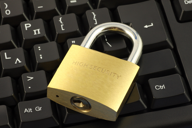 Password Security - Protecting Your Niche Properties